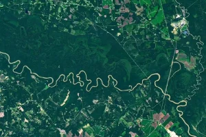 The Forested Floodplains of Congaree National Park