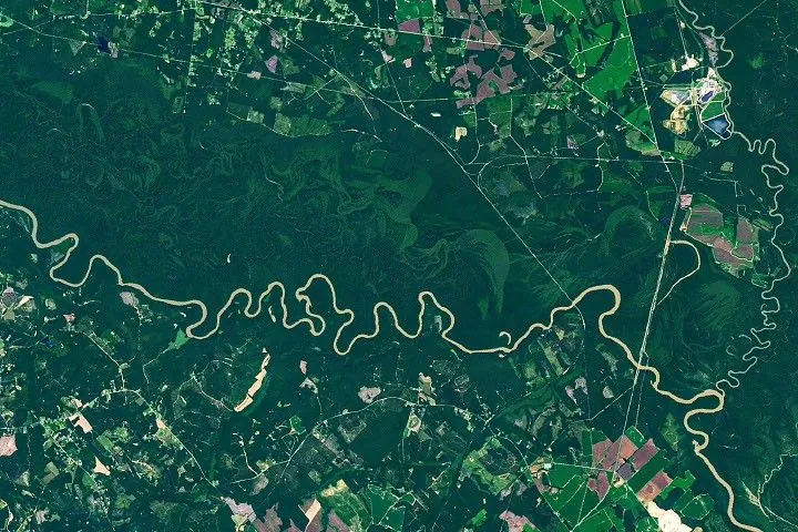 A brown, meandering river cuts through a band of dark green forest in Congaree National Park. Labels point out an oxbow lake and meander in the river. Former river channels called paleochannels appear lighter green than other forested areas.