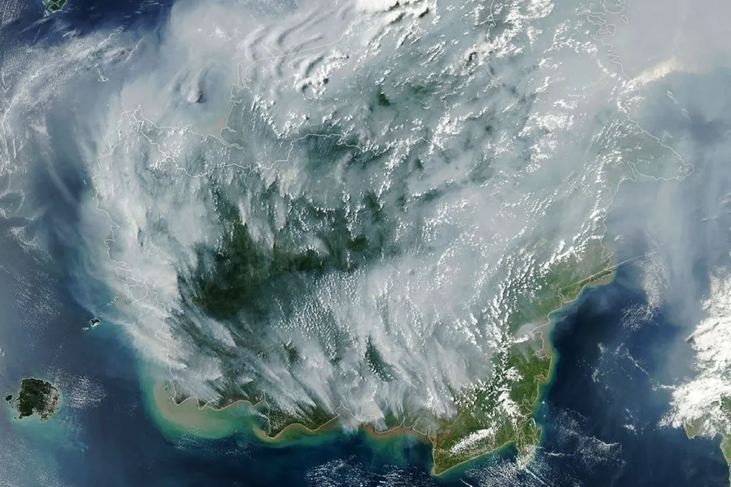 Thick gray plumes of smoke stream from large numbers of fires scattered across the island of Borneo.