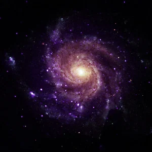 NASA’s Chandra Unveils Mysterious X-Ray Objects